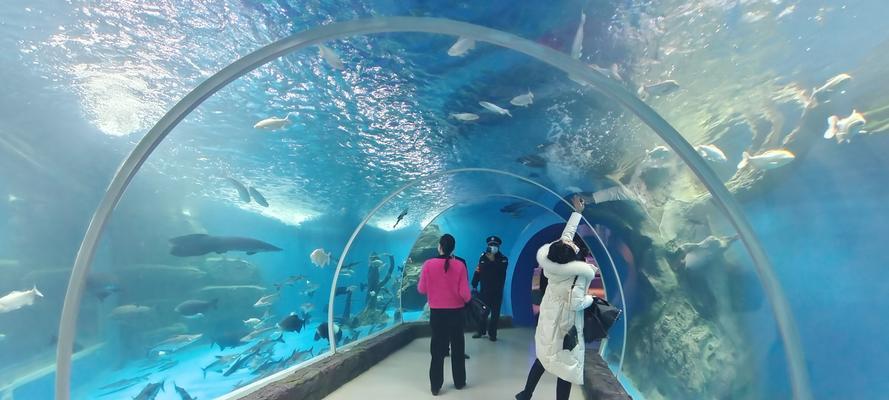 探秘文明大爆炸水族馆和剧场（游戏中的海洋之旅）