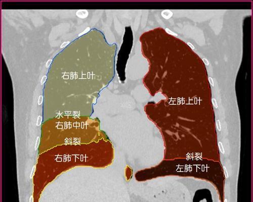 人体工厂（解锁肺部循环关卡）