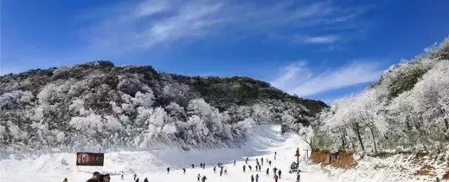 《雪人山滑雪》游戏玩家测评（探究雪山滑雪的乐趣与挑战）