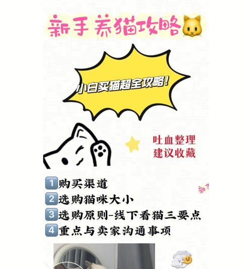 猫之城灵棰惊竹游戏解析（探索猫之城）