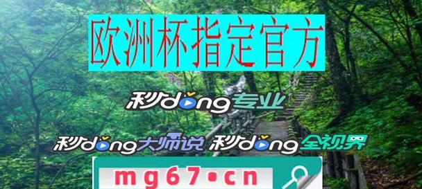 最终幻想10水球赛的比赛内容介绍（探究水球赛的多元化玩法）