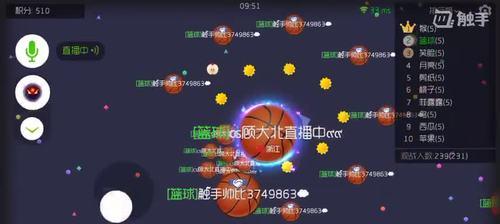 《球球大作战超神段位升级技巧，助你成为顶尖玩家》（掌握游戏攻略）