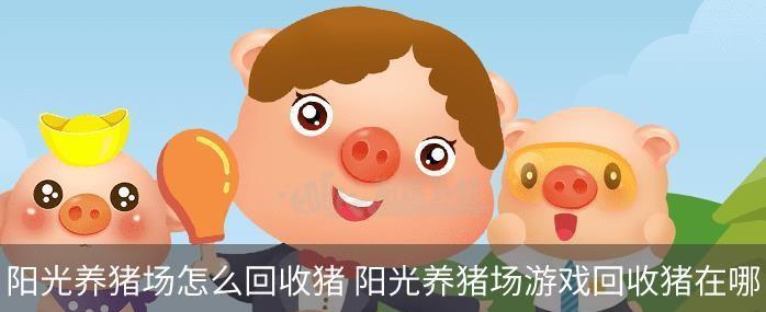 《阳光养猪场攻略》——让你成为养猪大师的秘籍（享受放置养猪乐趣）