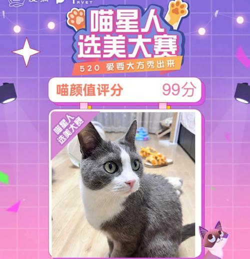 小森生活猫咪选美怎么玩？游戏规则和获胜技巧是什么？